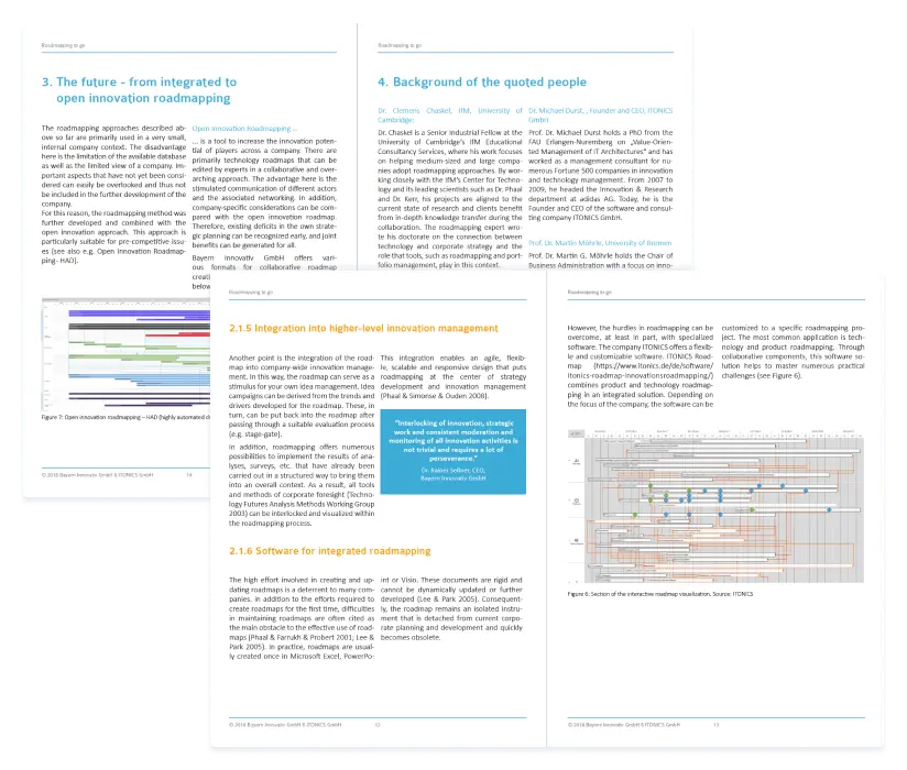 Überblick - Roadmapping White Paper PDF ITONICS